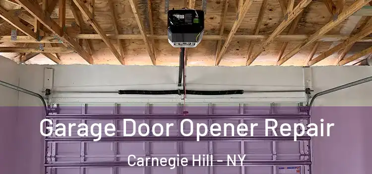  Garage Door Opener Repair Carnegie Hill - NY