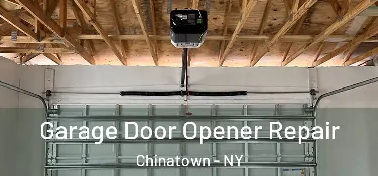  Garage Door Opener Repair Chinatown - NY