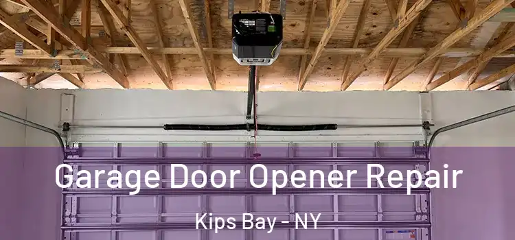  Garage Door Opener Repair Kips Bay - NY