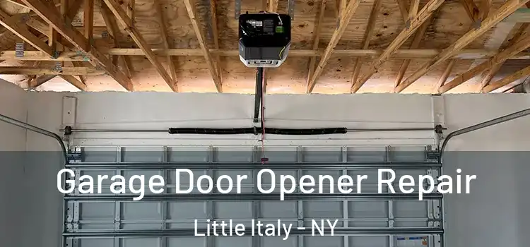  Garage Door Opener Repair Little Italy - NY