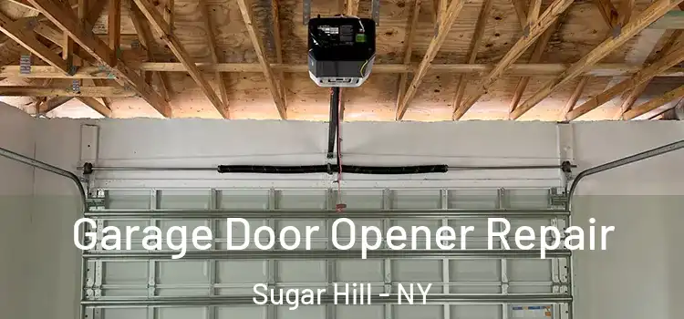  Garage Door Opener Repair Sugar Hill - NY
