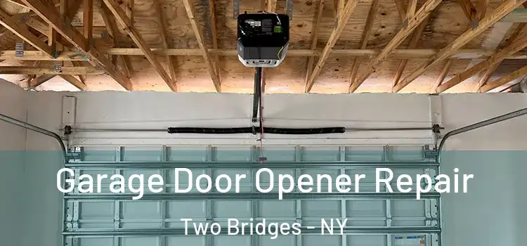  Garage Door Opener Repair Two Bridges - NY
