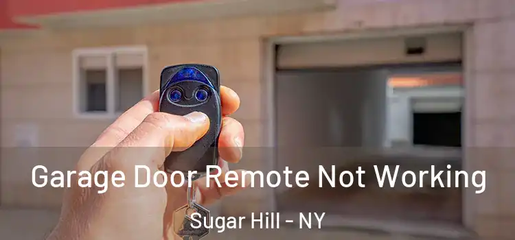  Garage Door Remote Not Working Sugar Hill - NY