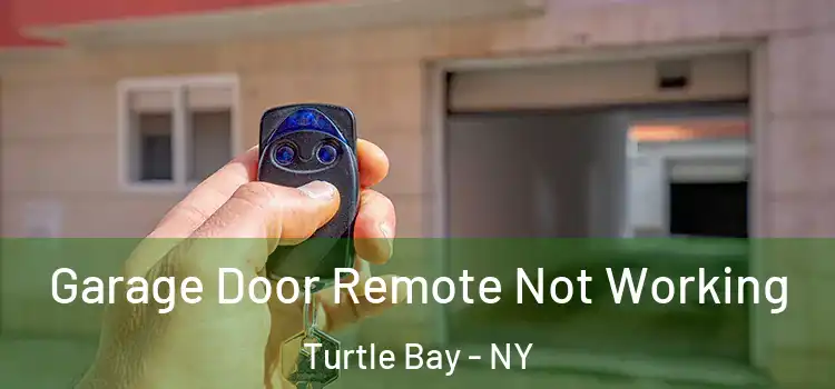  Garage Door Remote Not Working Turtle Bay - NY