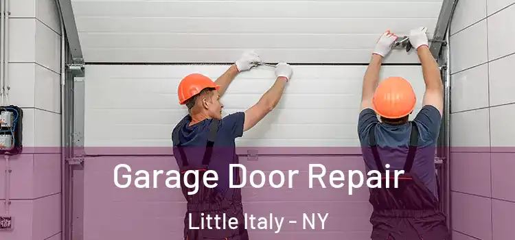 Garage Door Repair Little Italy - NY