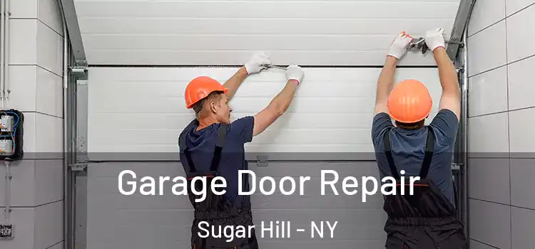  Garage Door Repair Sugar Hill - NY