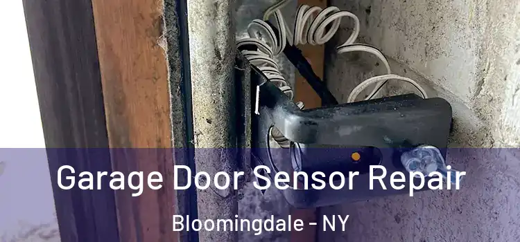  Garage Door Sensor Repair Bloomingdale - NY