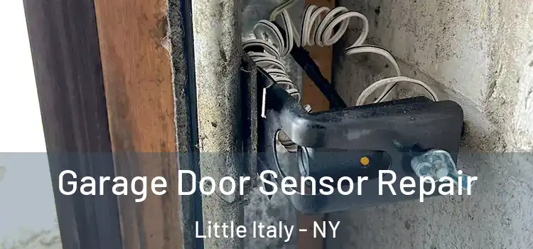  Garage Door Sensor Repair Little Italy - NY