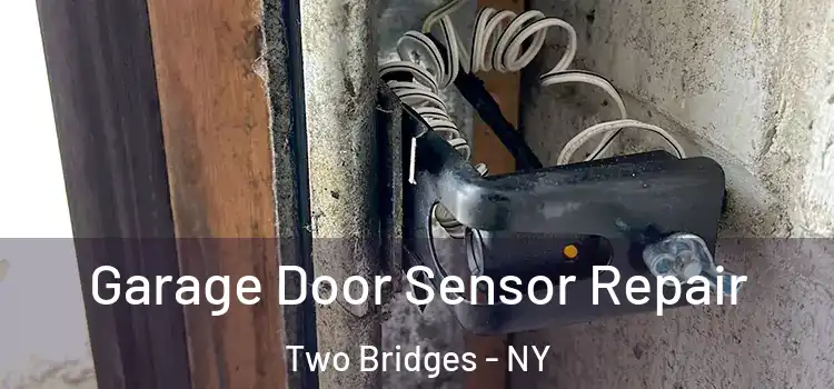  Garage Door Sensor Repair Two Bridges - NY