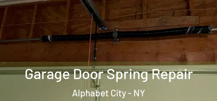  Garage Door Spring Repair Alphabet City - NY
