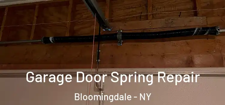  Garage Door Spring Repair Bloomingdale - NY