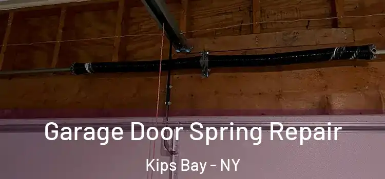  Garage Door Spring Repair Kips Bay - NY