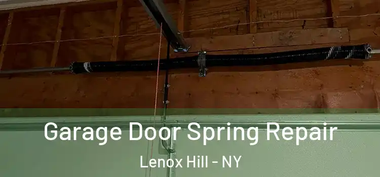  Garage Door Spring Repair Lenox Hill - NY