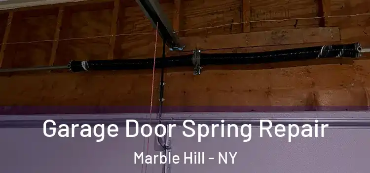  Garage Door Spring Repair Marble Hill - NY