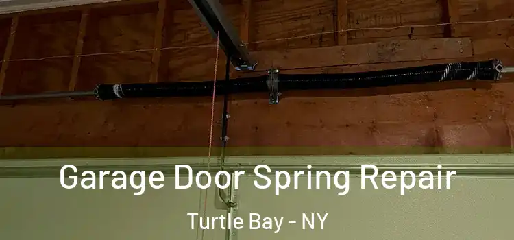  Garage Door Spring Repair Turtle Bay - NY