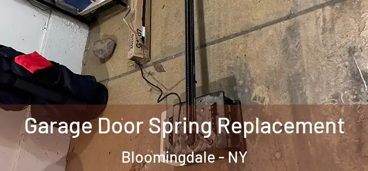  Garage Door Spring Replacement Bloomingdale - NY