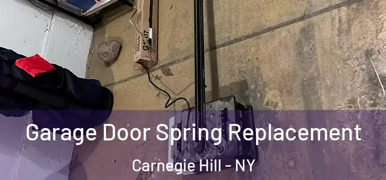  Garage Door Spring Replacement Carnegie Hill - NY