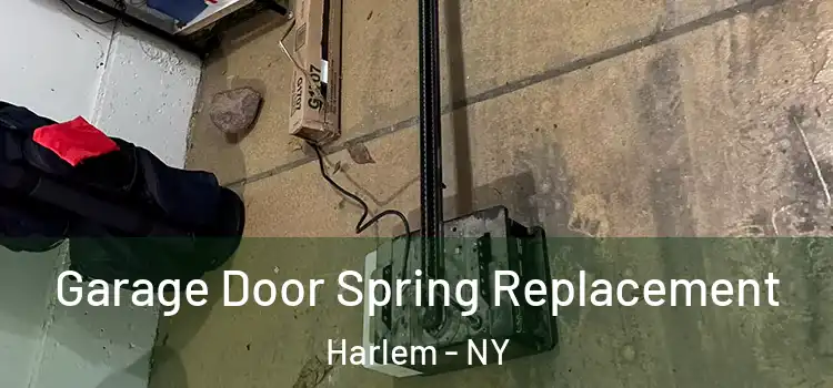  Garage Door Spring Replacement Harlem - NY