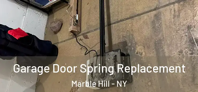 Garage Door Spring Replacement Marble Hill - NY