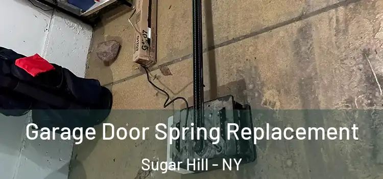  Garage Door Spring Replacement Sugar Hill - NY