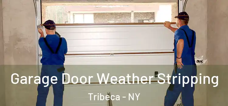  Garage Door Weather Stripping Tribeca - NY