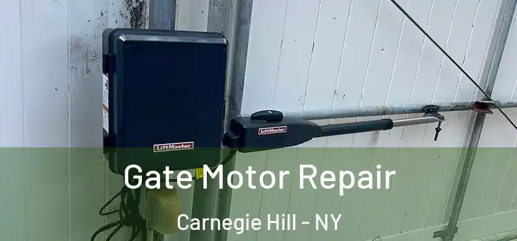  Gate Motor Repair Carnegie Hill - NY