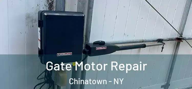  Gate Motor Repair Chinatown - NY
