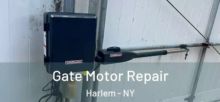  Gate Motor Repair Harlem - NY