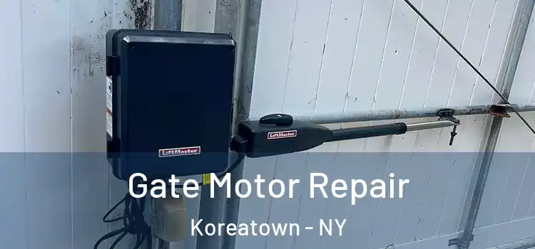  Gate Motor Repair Koreatown - NY