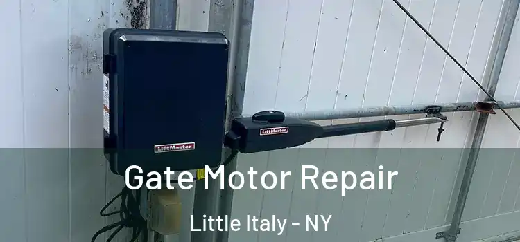  Gate Motor Repair Little Italy - NY