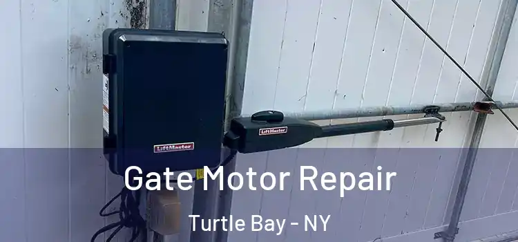  Gate Motor Repair Turtle Bay - NY