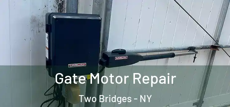  Gate Motor Repair Two Bridges - NY