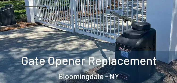  Gate Opener Replacement Bloomingdale - NY