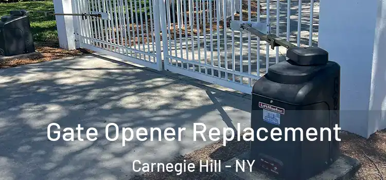  Gate Opener Replacement Carnegie Hill - NY