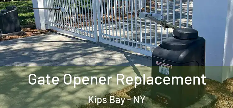  Gate Opener Replacement Kips Bay - NY