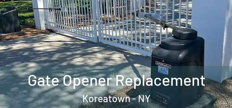  Gate Opener Replacement Koreatown - NY