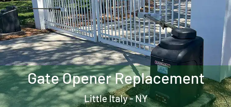 Gate Opener Replacement Little Italy - NY