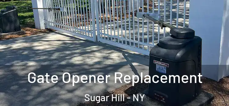  Gate Opener Replacement Sugar Hill - NY