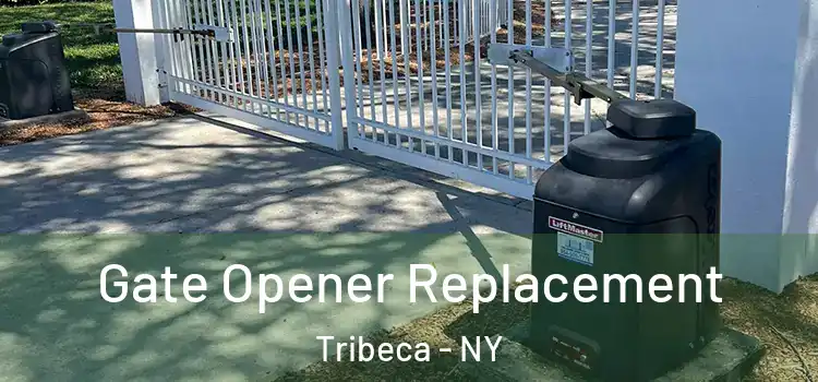  Gate Opener Replacement Tribeca - NY