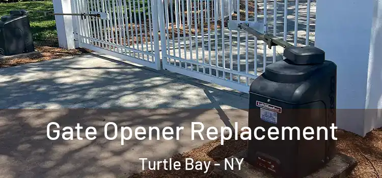 Gate Opener Replacement Turtle Bay - NY