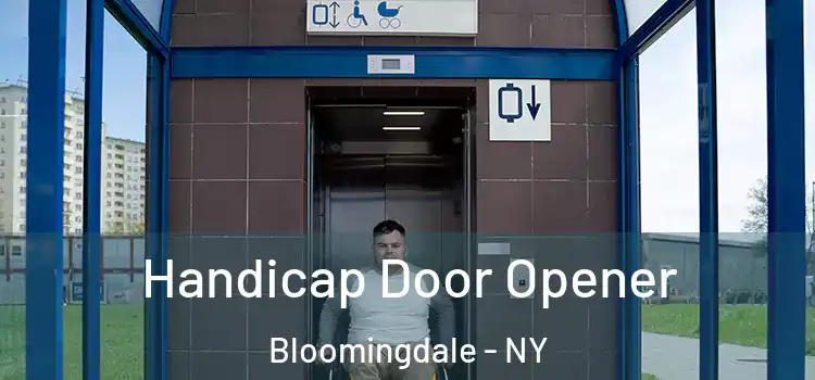  Handicap Door Opener Bloomingdale - NY