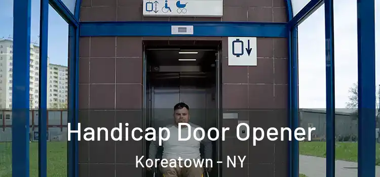 Handicap Door Opener Koreatown - NY