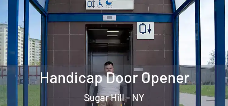  Handicap Door Opener Sugar Hill - NY