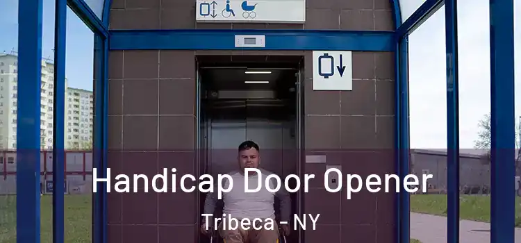 Handicap Door Opener Tribeca - NY