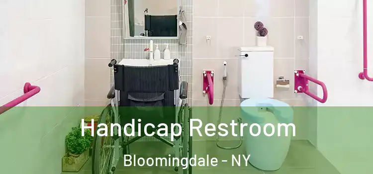 Handicap Restroom Bloomingdale - NY