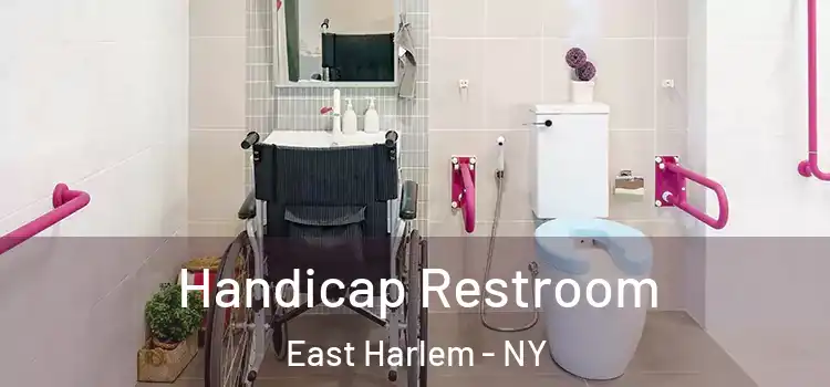  Handicap Restroom East Harlem - NY