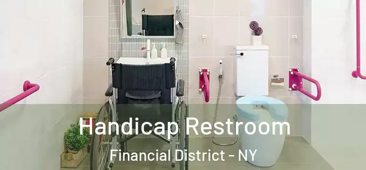  Handicap Restroom Financial District - NY