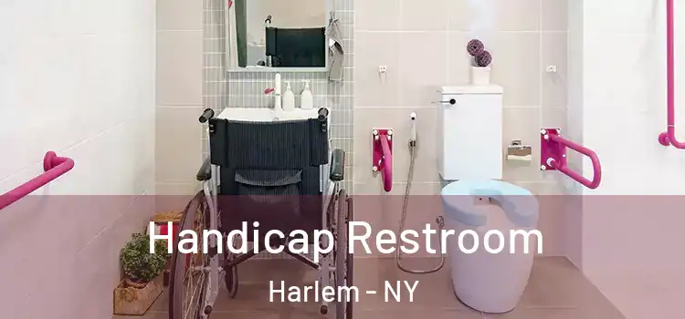 Handicap Restroom Harlem - NY