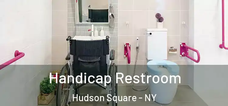  Handicap Restroom Hudson Square - NY