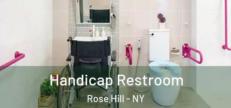  Handicap Restroom Rose Hill - NY